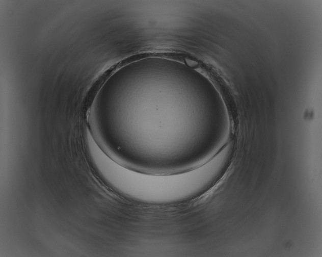 X0000093611449200710221557