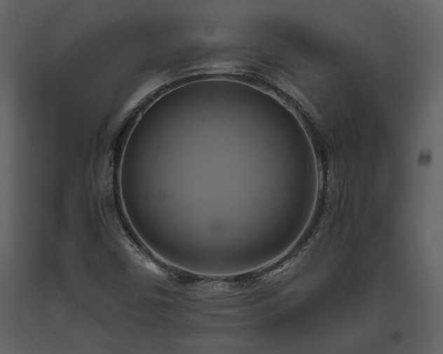 X0000093611450200710221557
