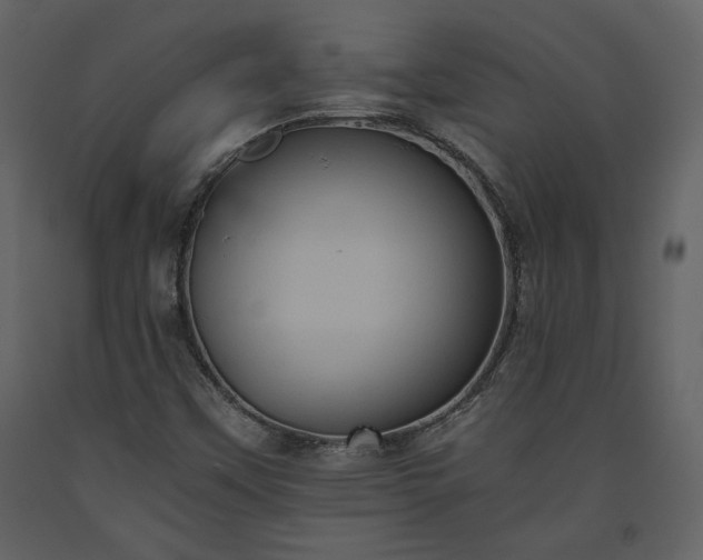 X0000093611451200710221557