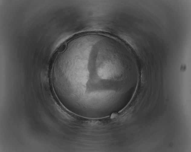 X0000093611452200710221557
