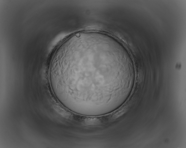 X0000093611454200710221557