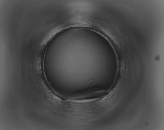 X0000093611455200710221557