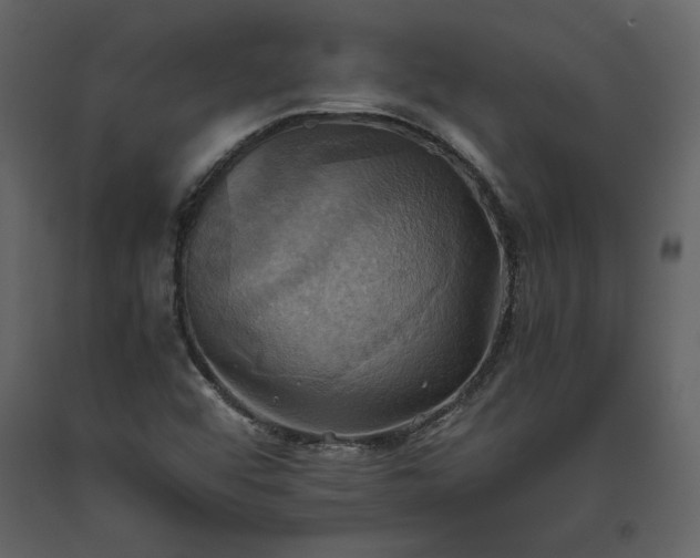 X0000093611456200710221557