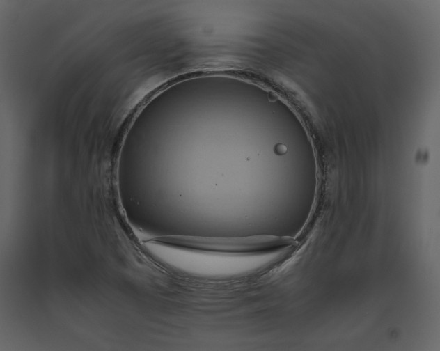 X0000093611457200710221557