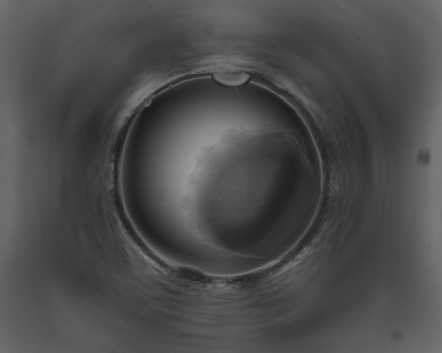 X0000093611459200710221557