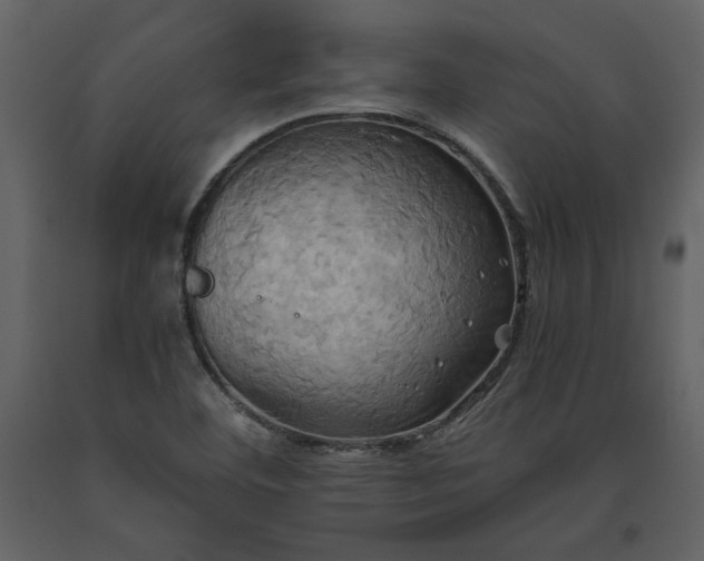 X0000093611460200710221557