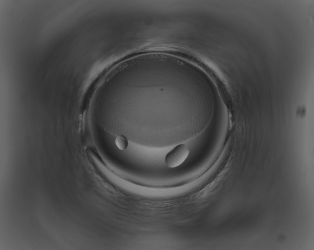 X0000093611461200710221557
