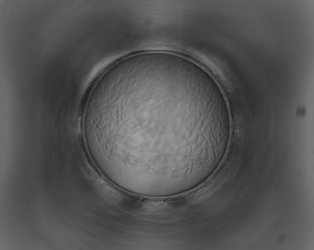 X0000093611462200710221557