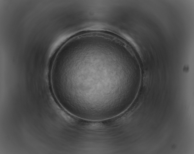 X0000093611464200710221557