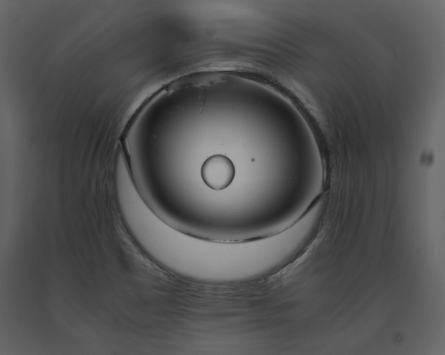 X0000093611465200710221557