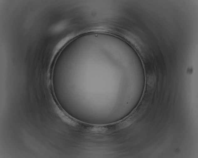 X0000093611466200710221557