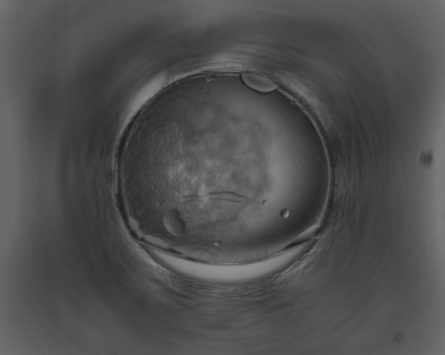 X0000093611467200710221557