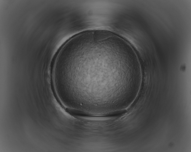 X0000093611468200710221557