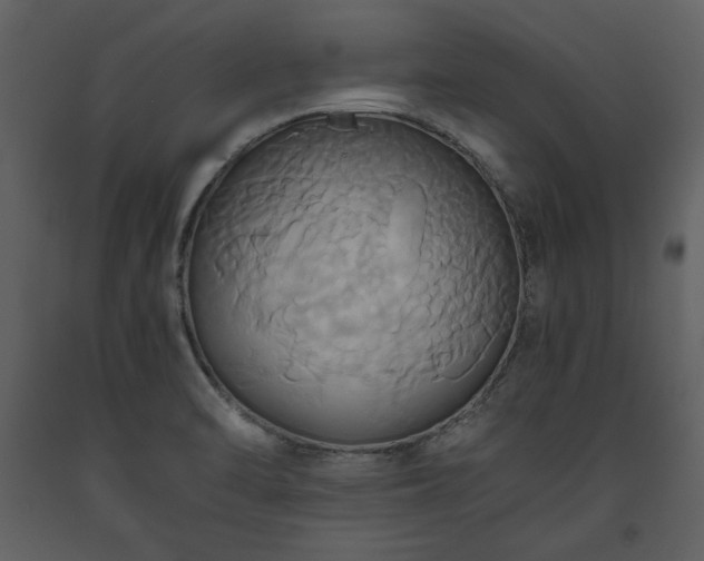 X0000093611470200710221557