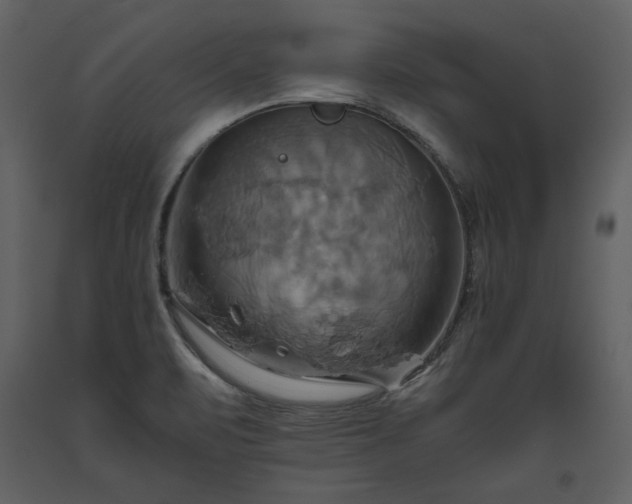 X0000093611471200710221557