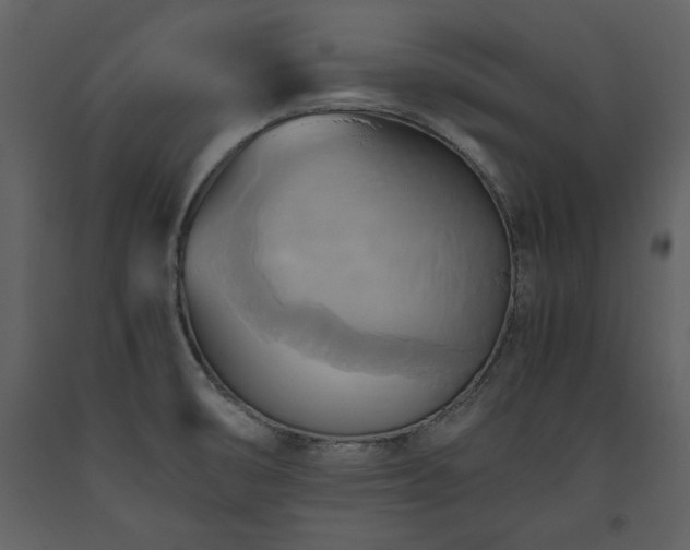 X0000093611474200710221557