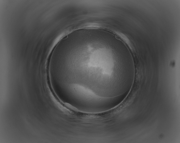 X0000093611475200710221557