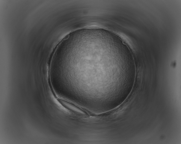 X0000093611476200710221557