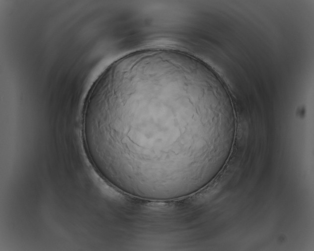 X0000093611478200710221557