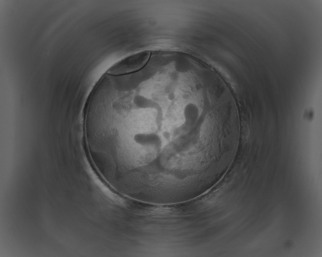 X0000093611479200710221557