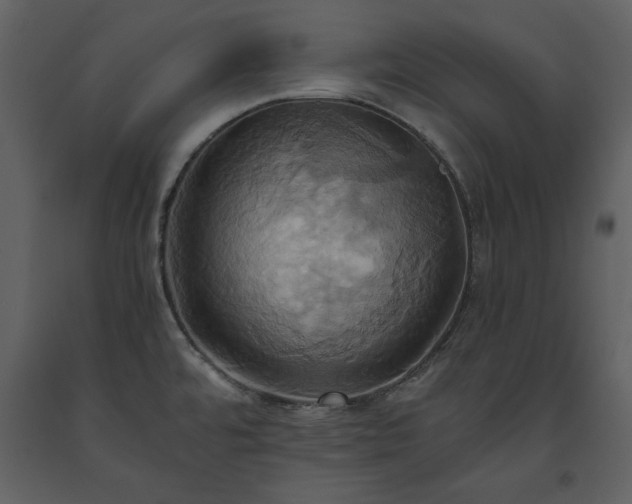 X0000093611480200710221557
