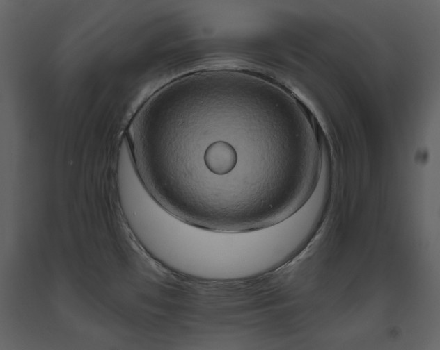 X0000093611481200710221557
