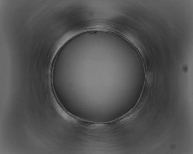 X0000093611482200710221557