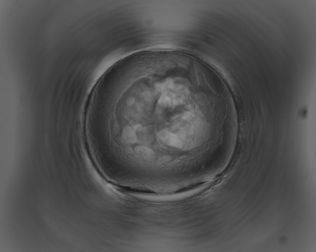 X0000093611483200710221557