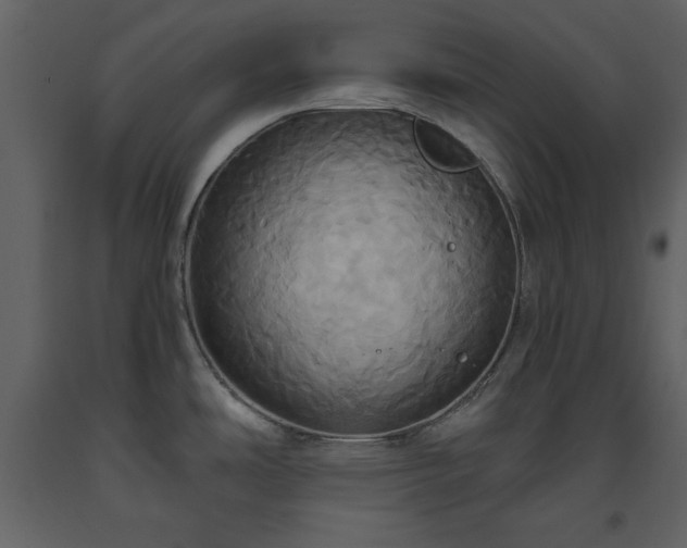 X0000093611486200710221557