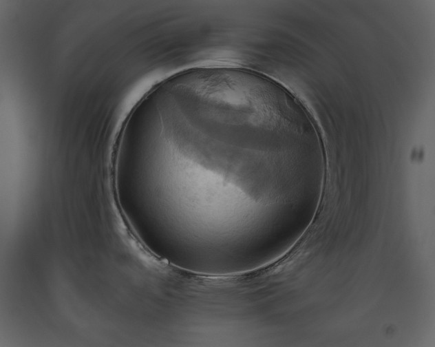 X0000093611488200710221557