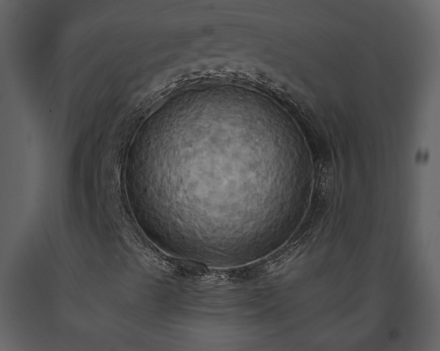 X0000093611489200710221556