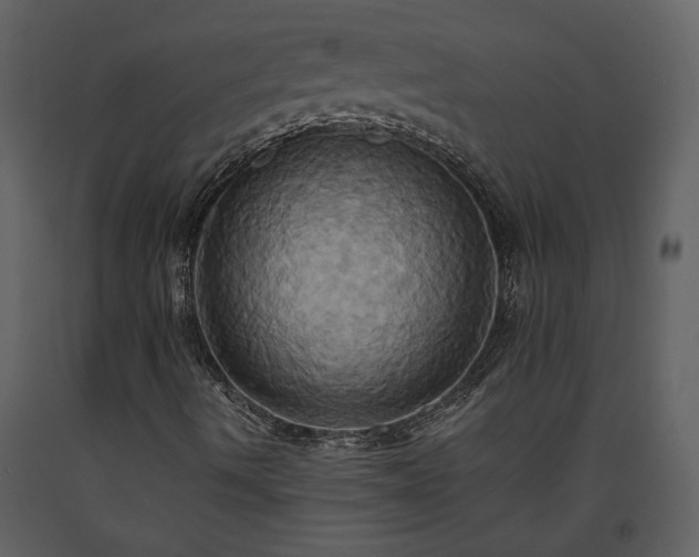 X0000093611490200710221556