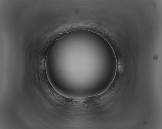 X0000093611492200710221556