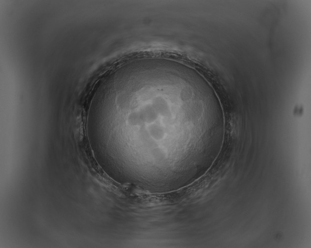 X0000093611493200710221556