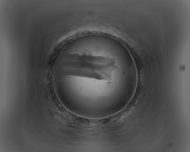 X0000093611494200710221556