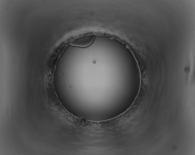 X0000093611495200710221556