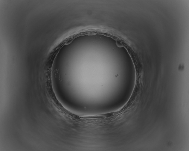 X0000093611496200710221556