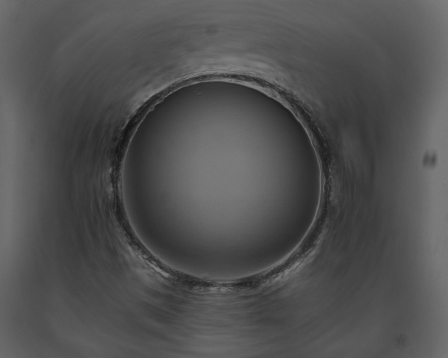 X0000093611497200710221556