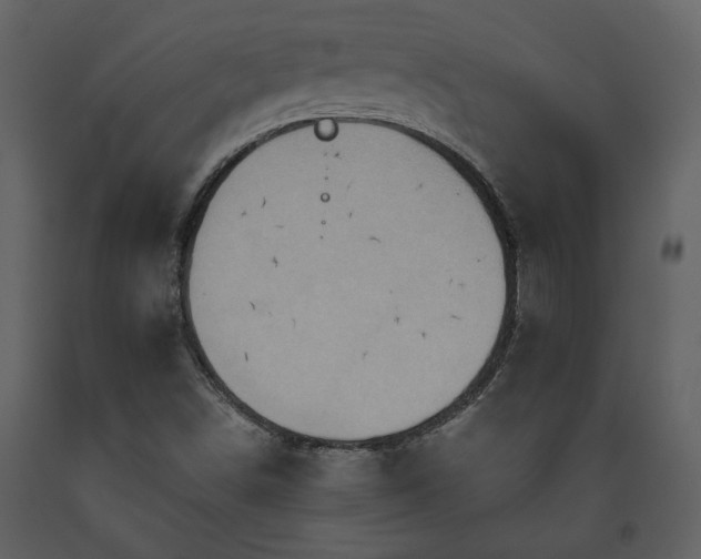 X0000093611498200710221556