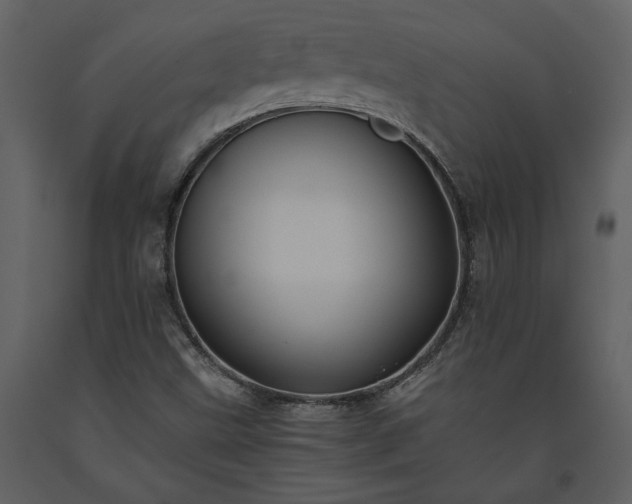 X0000093611499200710221556