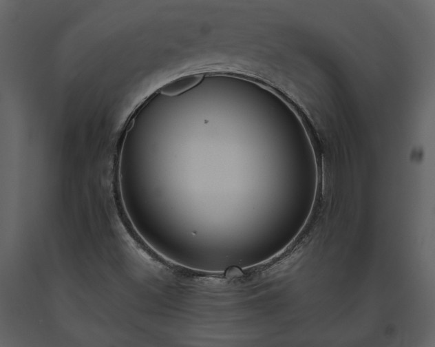 X0000093611500200710221557