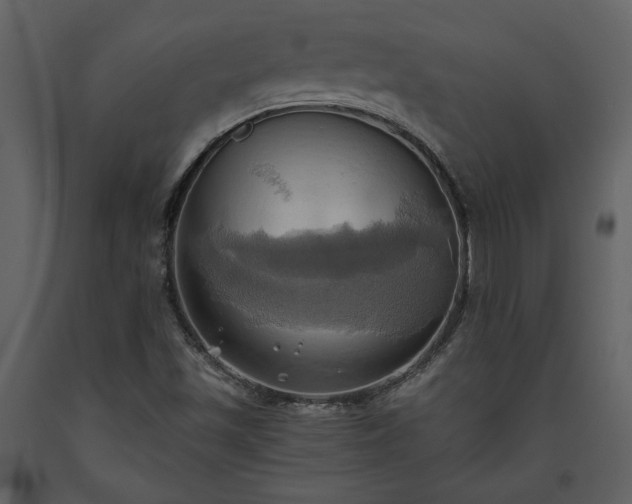 X0000093611501200710221557