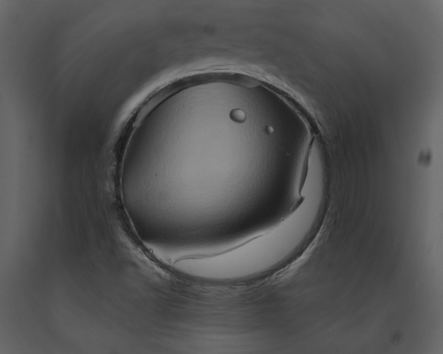 X0000093611502200710221557
