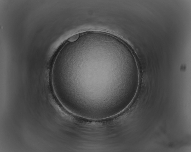 X0000093611503200710221557