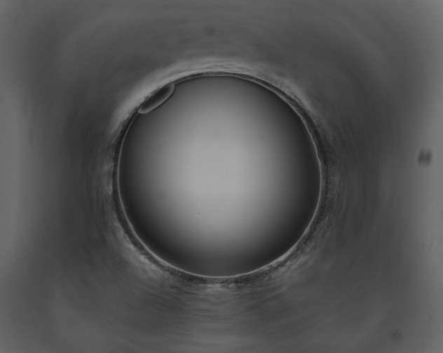 X0000093611504200710221557
