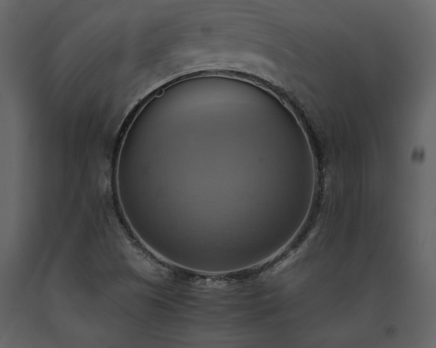 X0000093611505200710221557