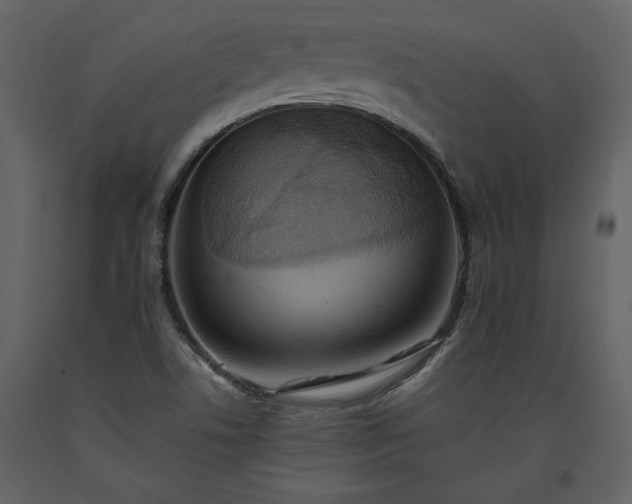 X0000093611506200710221557