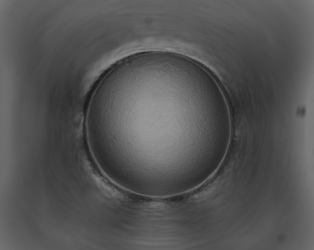 X0000093611507200710221557