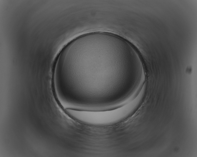 X0000093611508200710221557