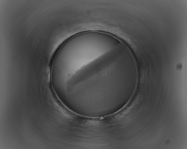 X0000093611509200710221557